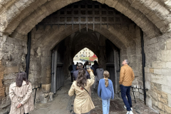 IMG_8989